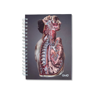 Cuadernos Argollados x 120 Hojas