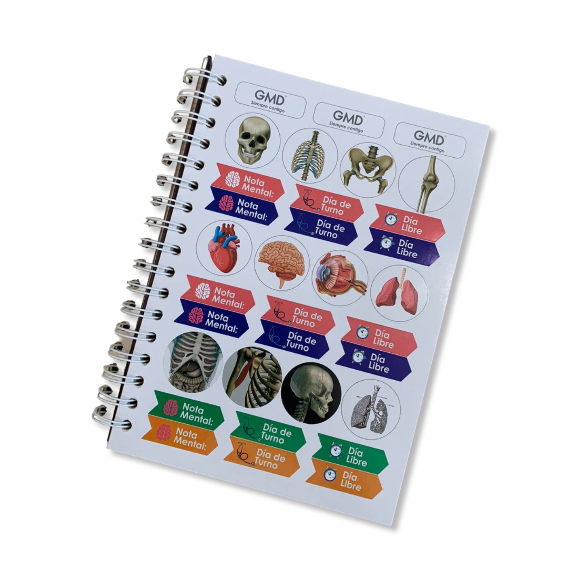 Cuadernos Argollados x 120 Hojas