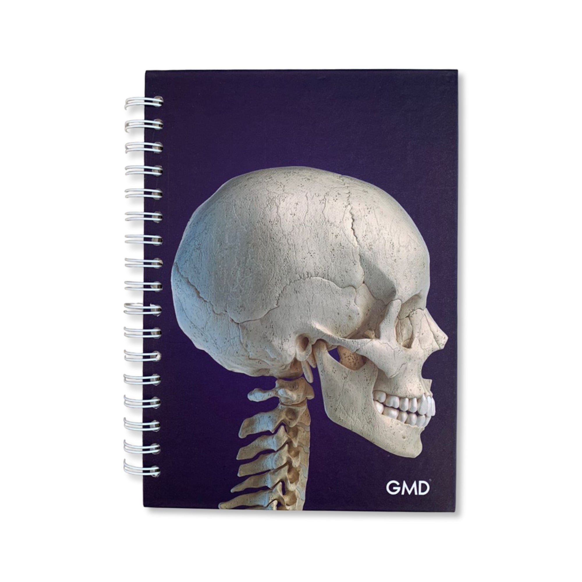 Cuadernos Argollados x 120 Hojas