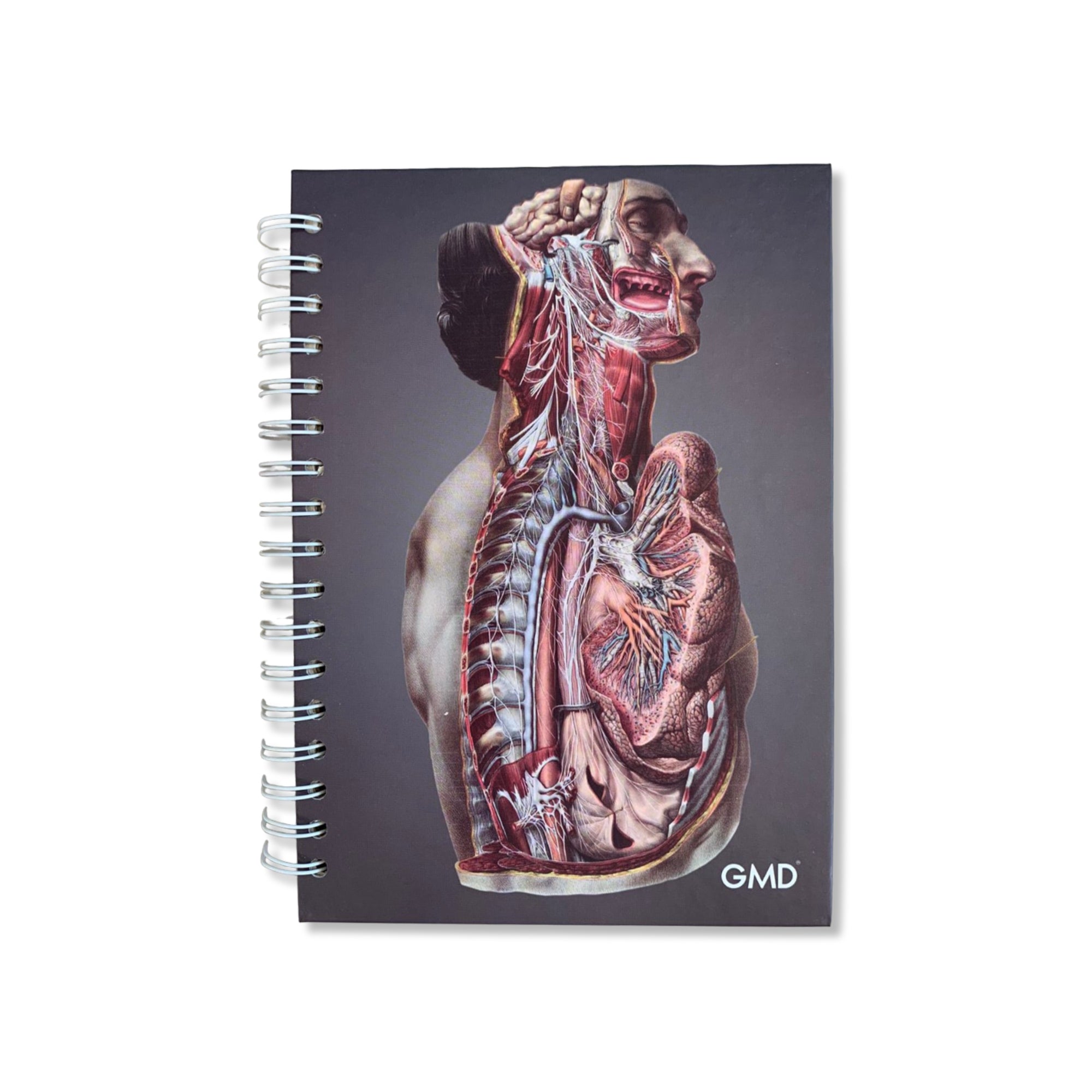 Cuadernos Argollados x 120 Hojas
