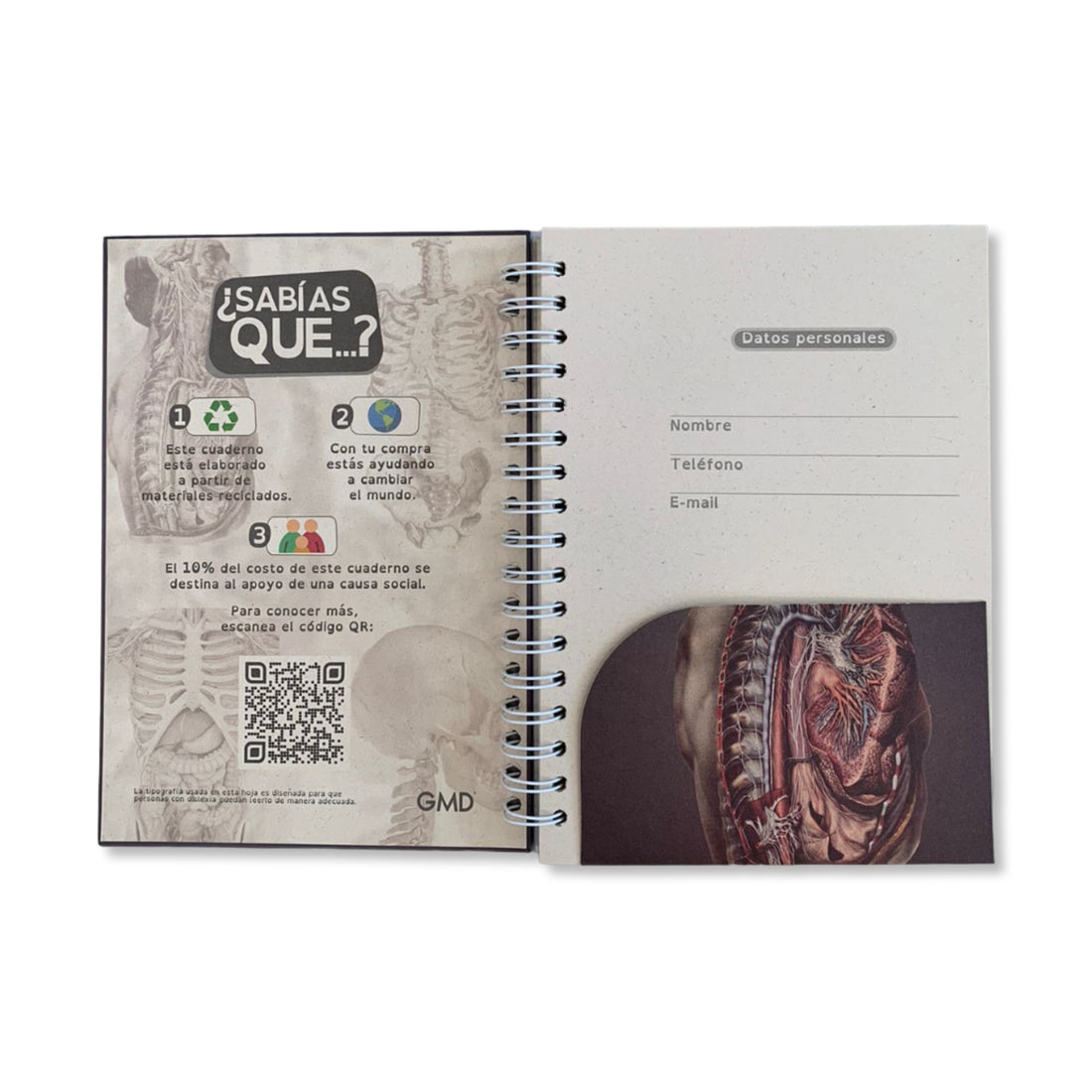 Cuadernos Argollados x 120 Hojas